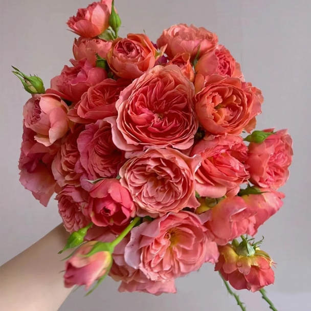 Каори Казари